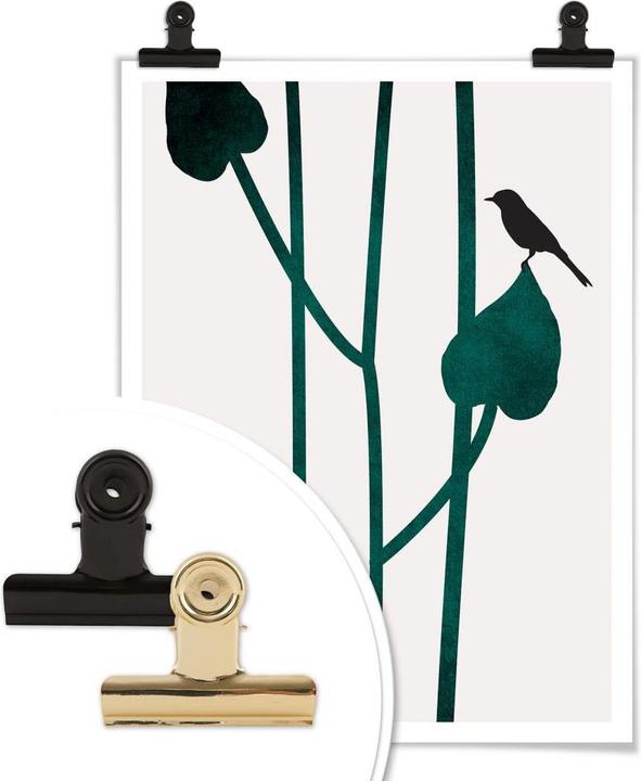 Image du produit Trenddeko Nature (24 x 30 cm)