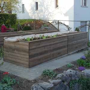 Produktbild Larus Fichte