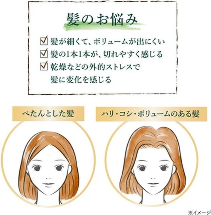 Actual product image L'Occitane Force & Vol Shampoo (Liquid shampoo, 300 ml)