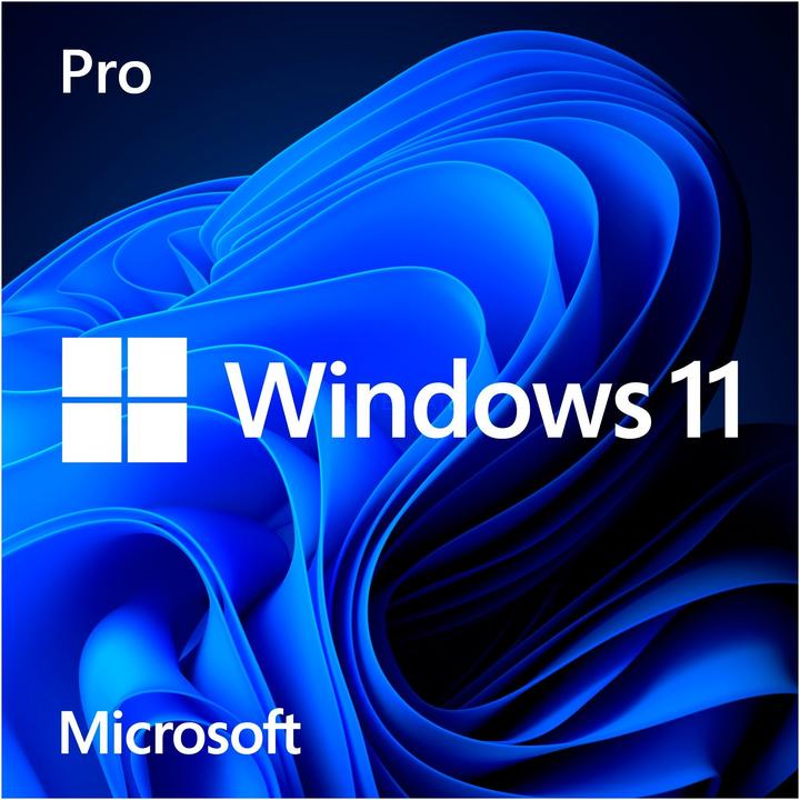 Actual product image Microsoft Windows 11 Pro (DE) (1 User, unlimited)