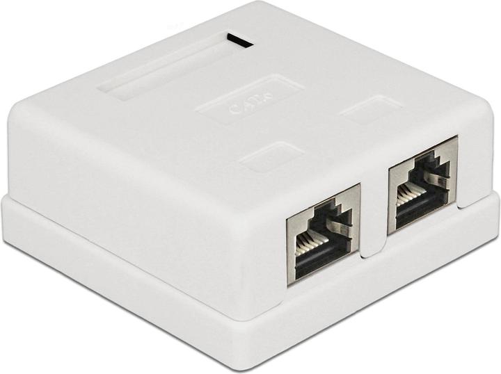 Actual product image Delock RJ-45 Cat.6 housing: 2 port (Network Accessories)