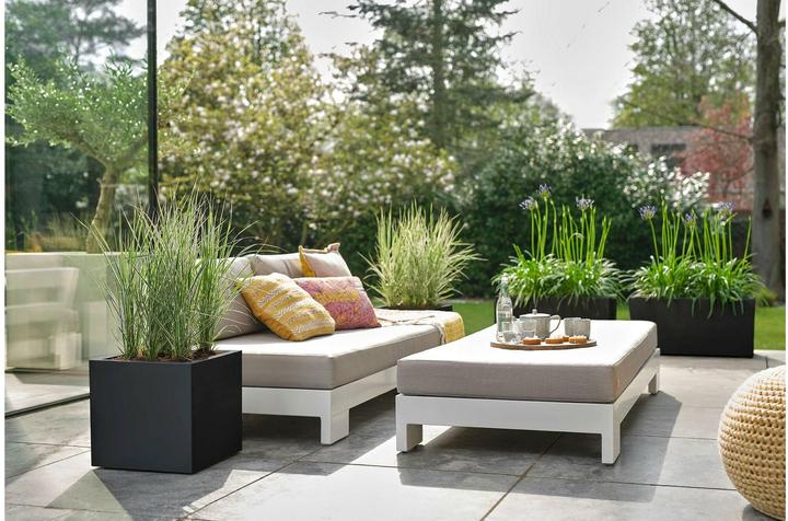 Actual product image Elho Vivo Next Lang (60 x 30 x 29 cm)