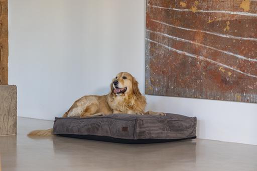 Immagine prodotto Designed by Lotte Cuscino a coste (Cane)