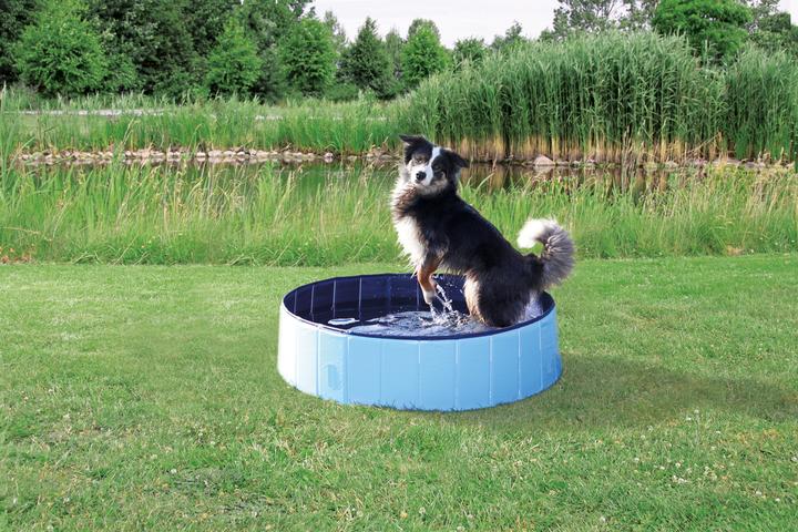 Produktbild Trixie Hundepool (Hundepool)