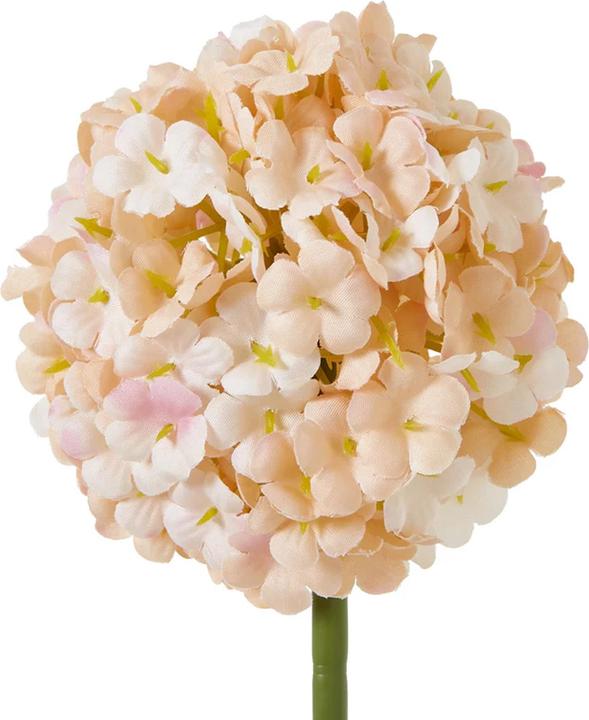 Immagine prodotto Hill Interiors The Natural Garden Collection Allium Fiore Artificiale (56 cm)