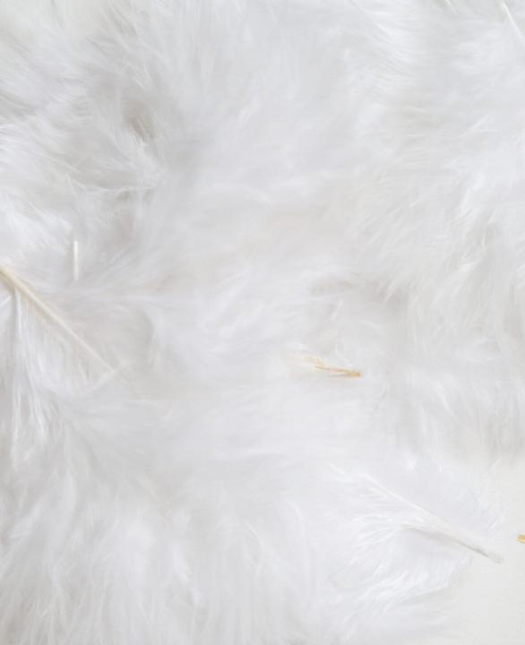 Actual product image I Am Creative Decorative feathers