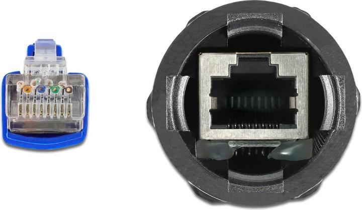 Image du produit Delock Câble RJ45 mâle vers RJ45 femelle Cat.6 étanche avec presse-étoupe (S/FTP, CAT6, 0.25 m)