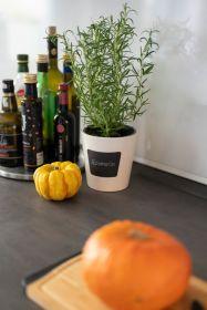 Actual product image Wenko Waia herb pot (13 x 13.50 cm)