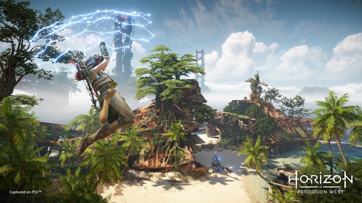 Produktbild Sony Horizon: Forbidden West Standard Multilingual PlayStation 4 (PS4, FR)
