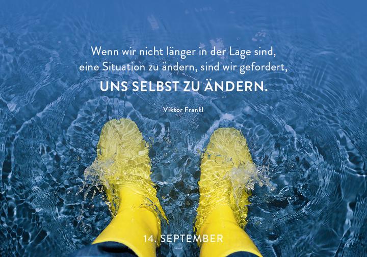 Produktbild 365 mal Gelassenheit