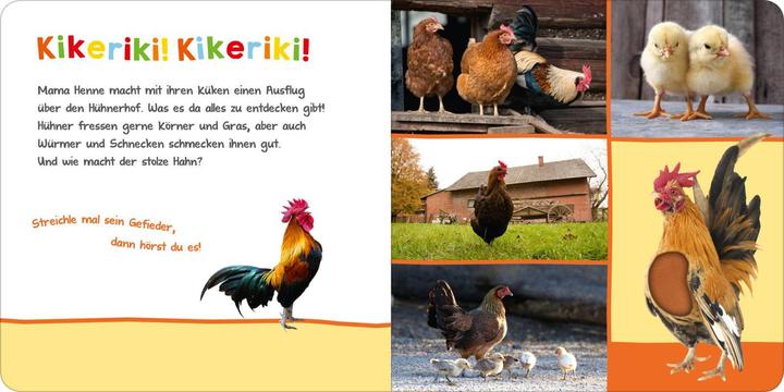Immagine prodotto Hör mal rein, wer kann das sein - Im Stall (Tedesco)
