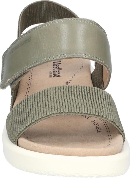 Actual product image Westland 25407-410 (41)