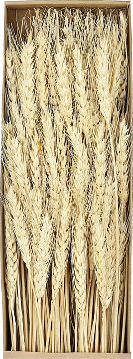Produktbild EGLO Guipos (60 cm)