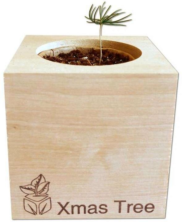 Image du produit Feel Green Ecocube (Graines de plantes)
