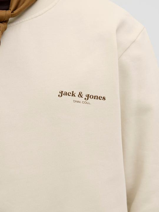 Produktbild Jack & Jones Jjedover Print Sweat Crew Neck (L)
