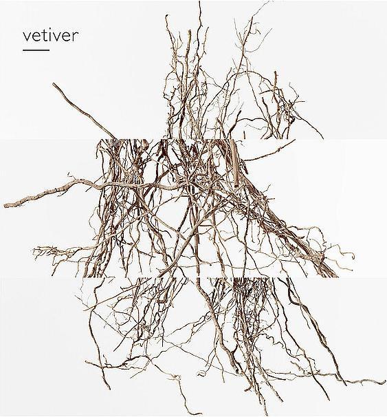 Immagine prodotto Hermès Terre D'hermes (Eau de parfum, 100 ml)