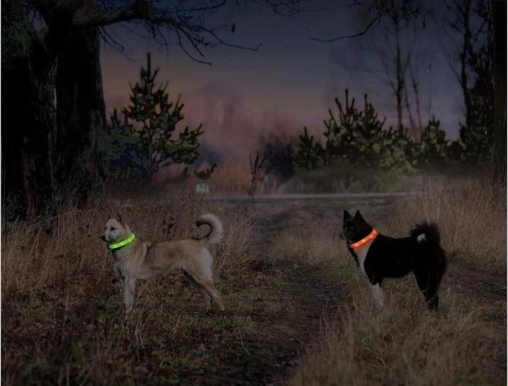 Actual product image Karlie Visio (Dog, Walks)