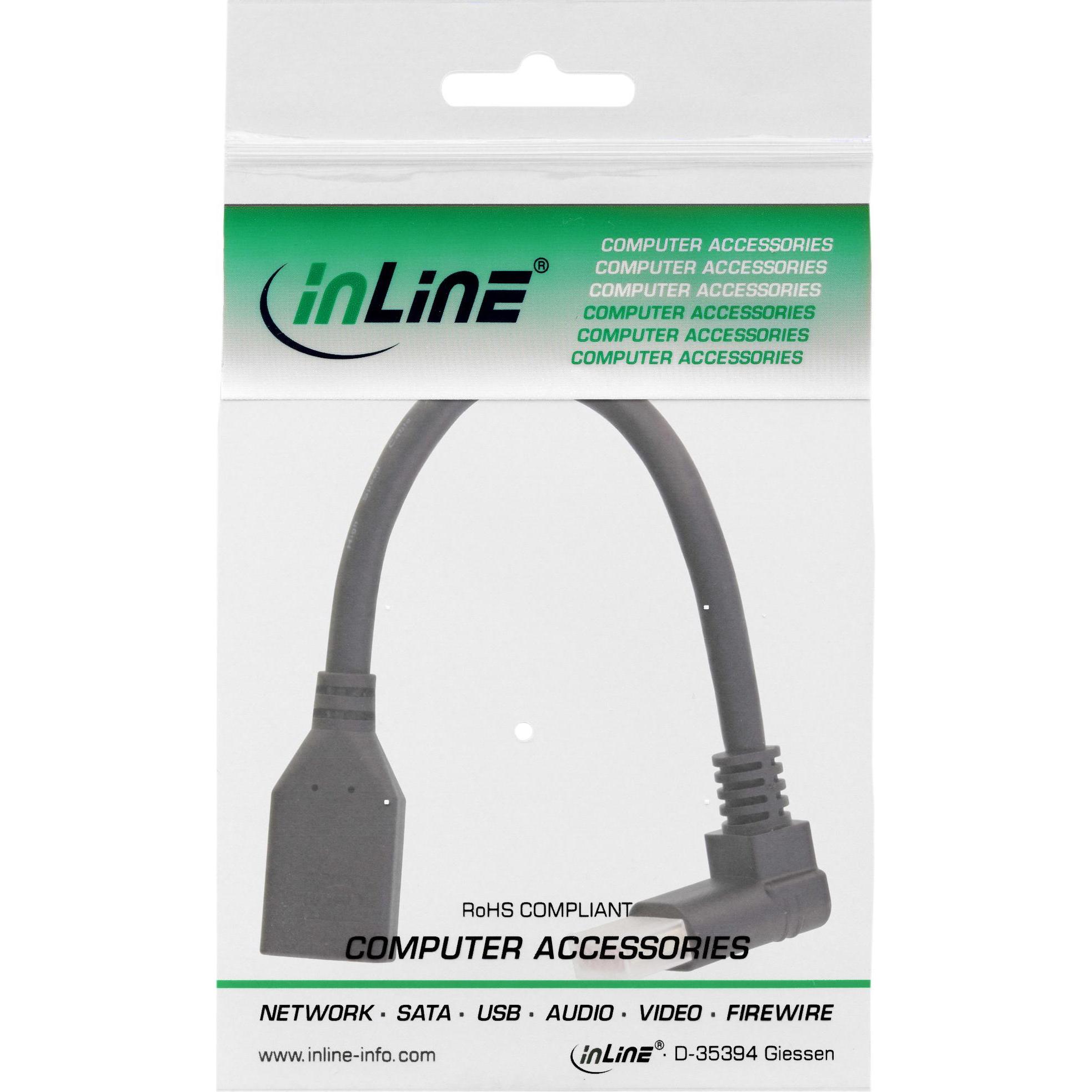 Thumbnail - InLine DisplayPort 1.4 Adapterkabel ST/BU (0.15 m, DisplayPort), Video Kabel