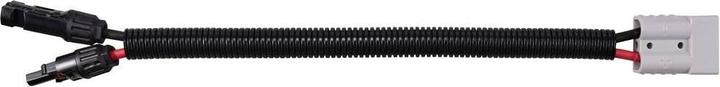 Image du produit Tru Components Starkstrom Steckverbinder zu Solar Stecker Typ B TC-12195636 Schwarz, Rot TRU C