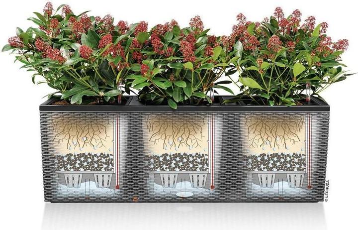 Produktbild Lechuza Trio Cottage (32 cm)