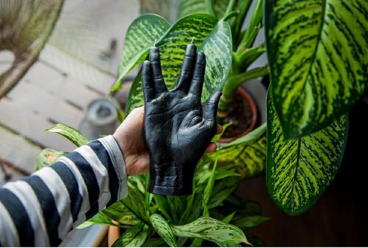 Image du produit Candle Hand Llap (1 pcs)