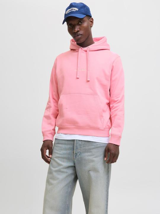 Actual product image Jack & Jones Kapuzenpullover Kapuzenpullover (XL)