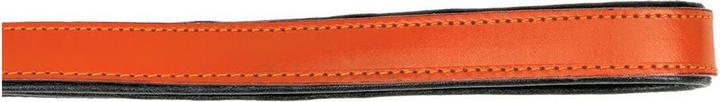Produktbild Gloria Hundeleine 1.8 x 100 cm Orange (Hund, Allgemein)