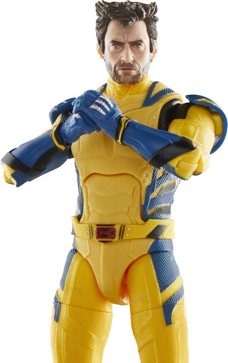 Image du produit Hasbro Marvel - Wolverine The Black Series