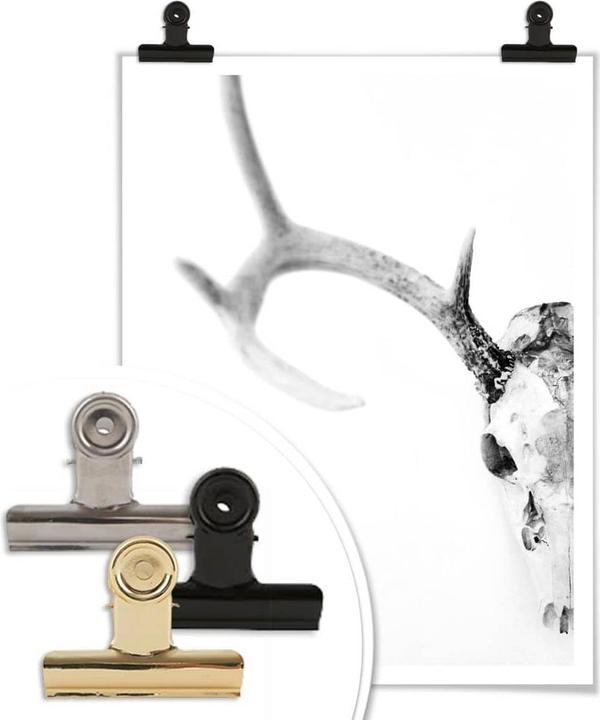 Image du produit Trenddeko Crâne de cerf (40 x 50 cm)