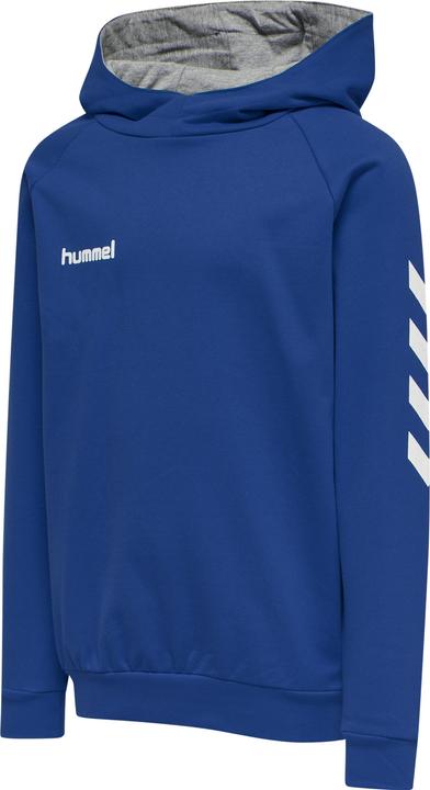 Produktbild hummel Go Kids Cotton Hoodie (152)