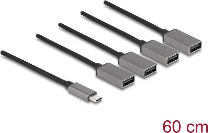 Actual product image Delock Hub (USB-C, 4 ports)