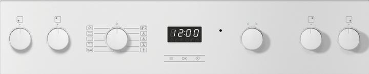 Produktbild Miele H 2456-55 EP ACTIVE