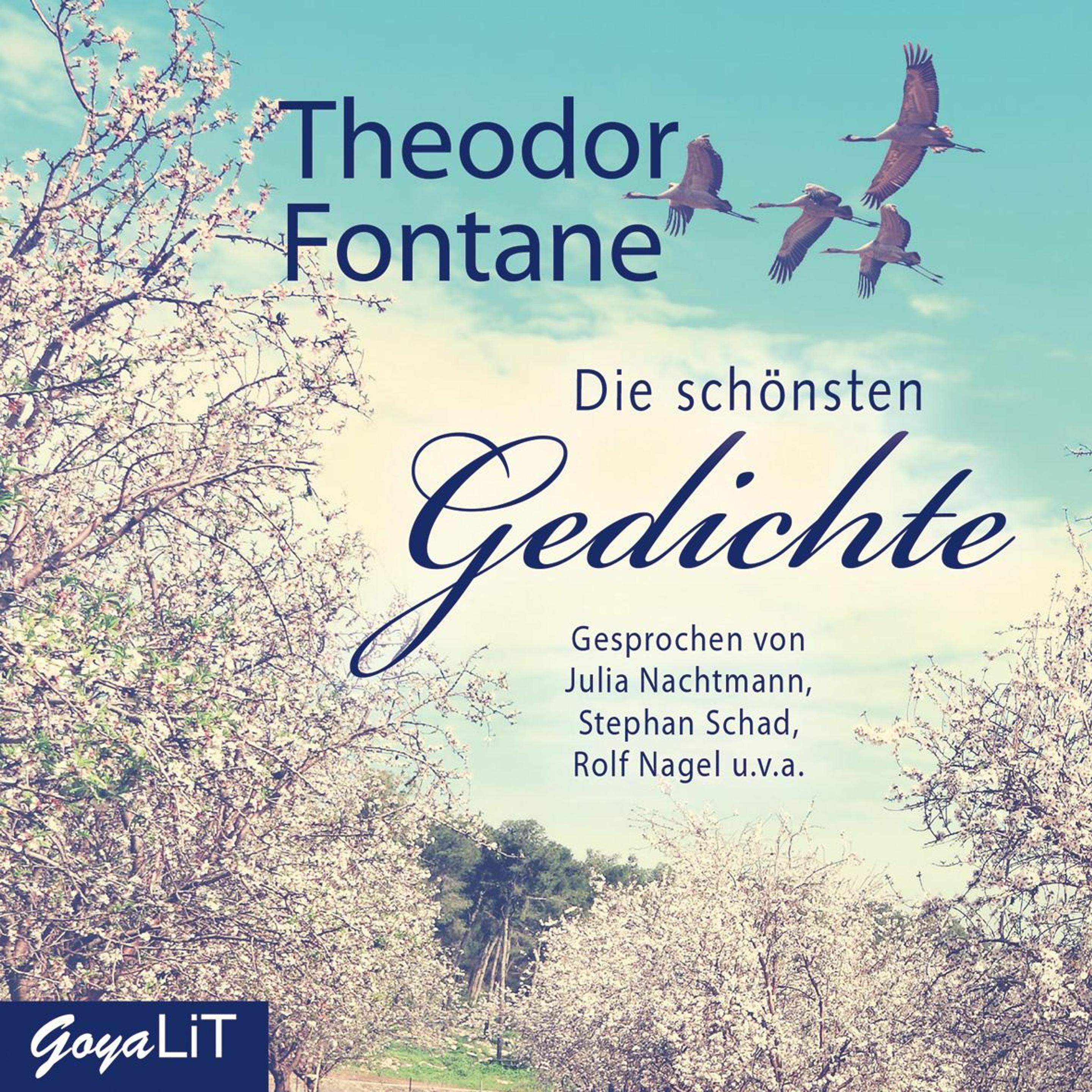 Die schönsten Gedichte, Belletristik von Julia Nachtmann, v.a. und, Stephan Schad, Theodor Fontane