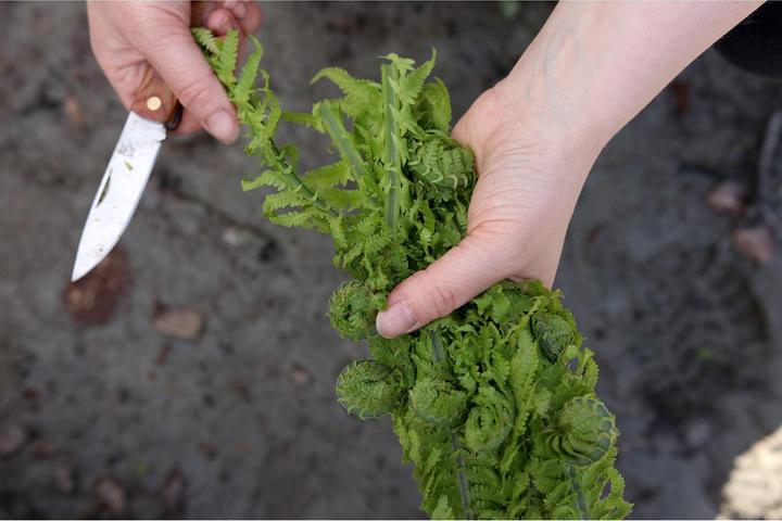 Produktbild Øyo Marka (8.50 cm)