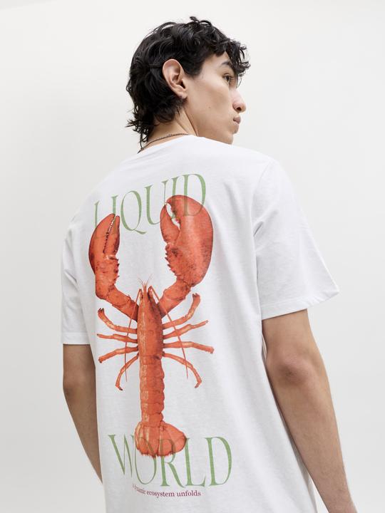 Produktbild Jack & Jones Jorocean Tee Ss Crew Neck Frss26 (M)