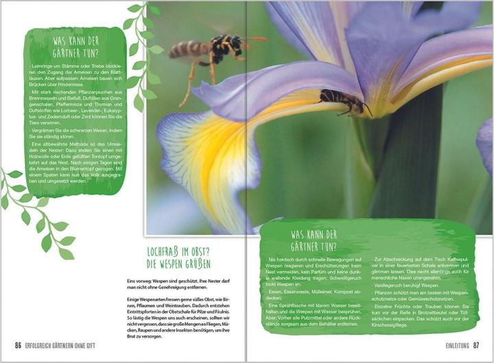 Produktbild MDR Garten - Erfolgreich Gärtnern ohne Gift (Deutsch, Brigitte Goss, 2018)