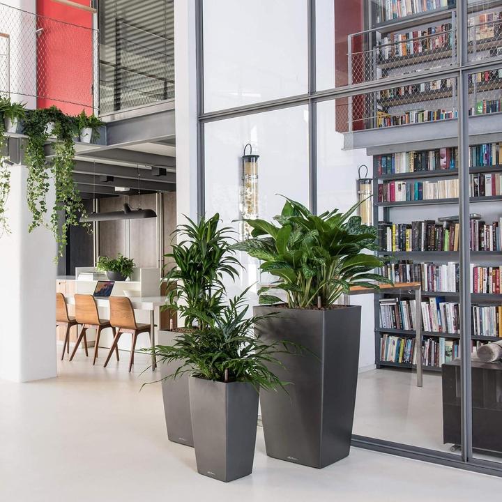 Produktbild Lechuza Cubico (39.50 cm)