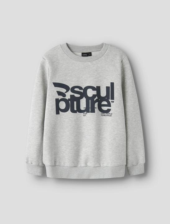 Actual product image Lmtd Regular Fit Sweatshirt (158, 164)