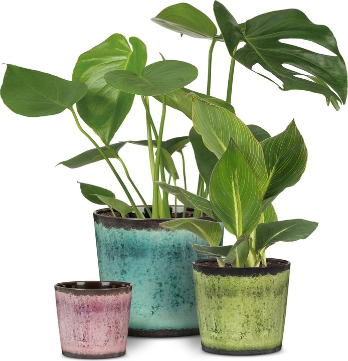 Image du produit Scheurich Pot de fleurs Ocean Glaze Ø 15.1 cm (15.10 cm)