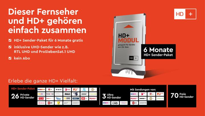 Immagine prodotto HD+ HD+Modulo m.6 abbonamento mensile (Nagravisione, Modulo CI)