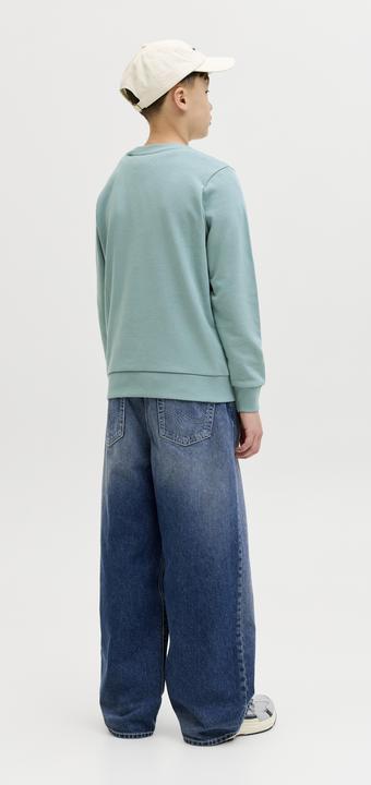 Produktbild Jack & Jones Jjelogo Sweat Crew Neck 2 Col Ss26 Jnr (128)