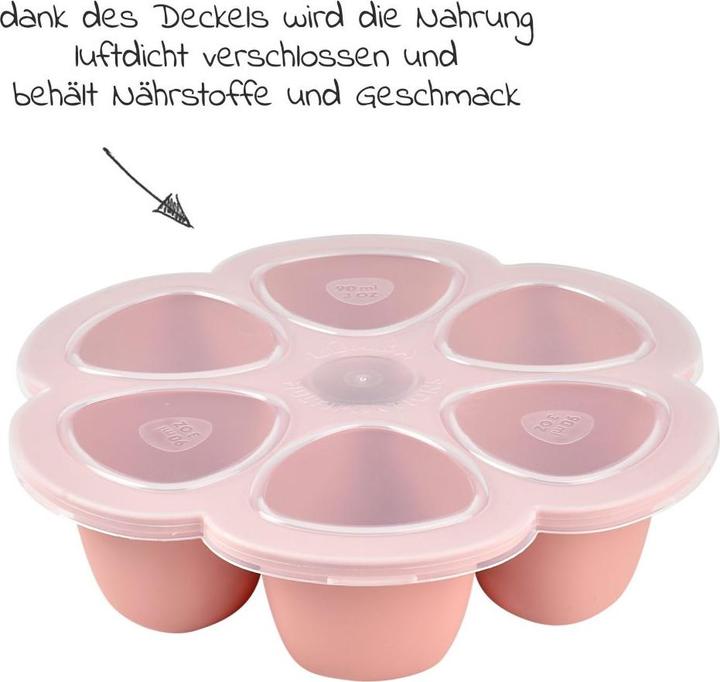 Actual product image Beaba Multiportions