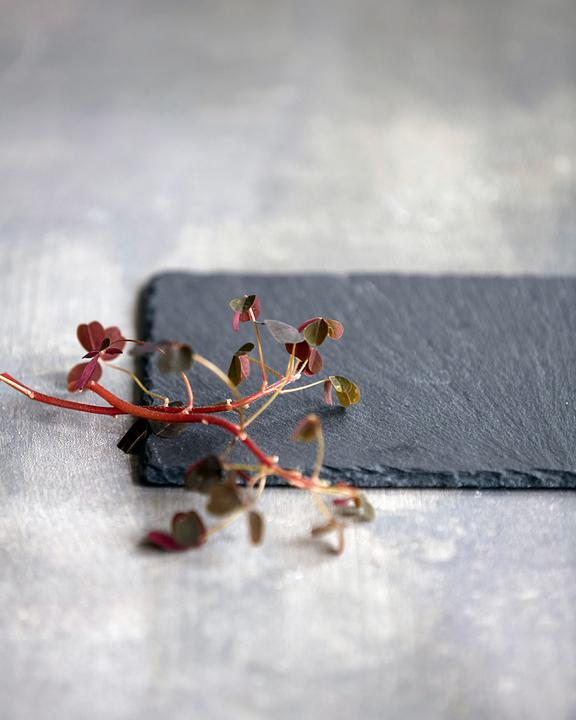 Produktbild Nicolas Vahé Schieferplatte, Slate Plate