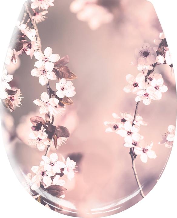 Kleine Wolke Blossom