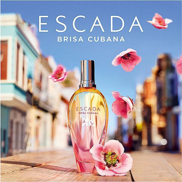 Actual product image Escada Eau de Toilette (Eau de toilette, 50 ml)