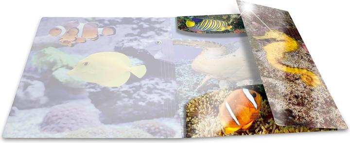 Immagine prodotto HERMA Cartella a motivi A3 (A3, 1 x)