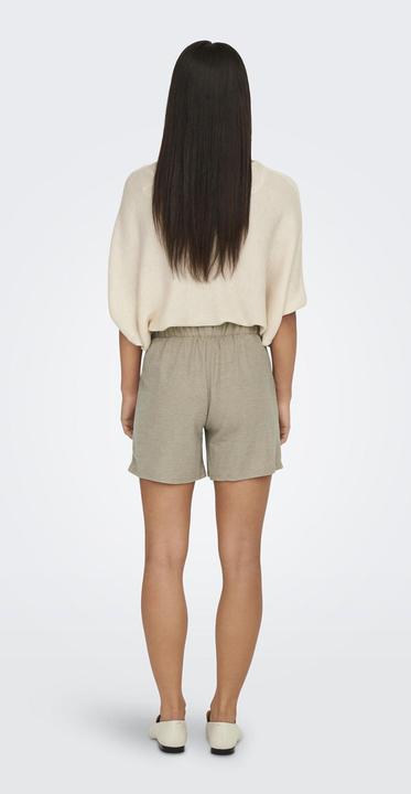 Actual product image JdY Regular fit shorts Shorts (XS)