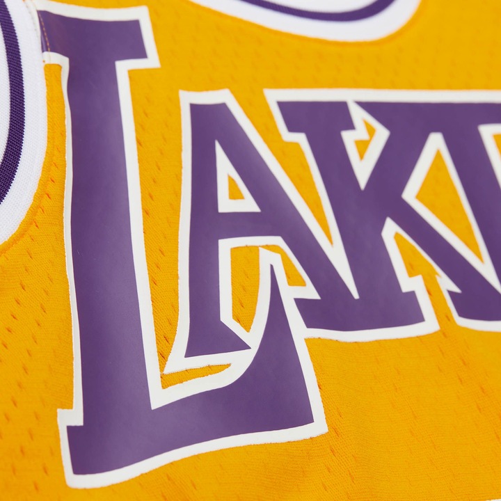 Actual product image Mitchell & Ness Swingman Mesh Jersey Los Angeles Lakers Dennis Rodman - M (M)