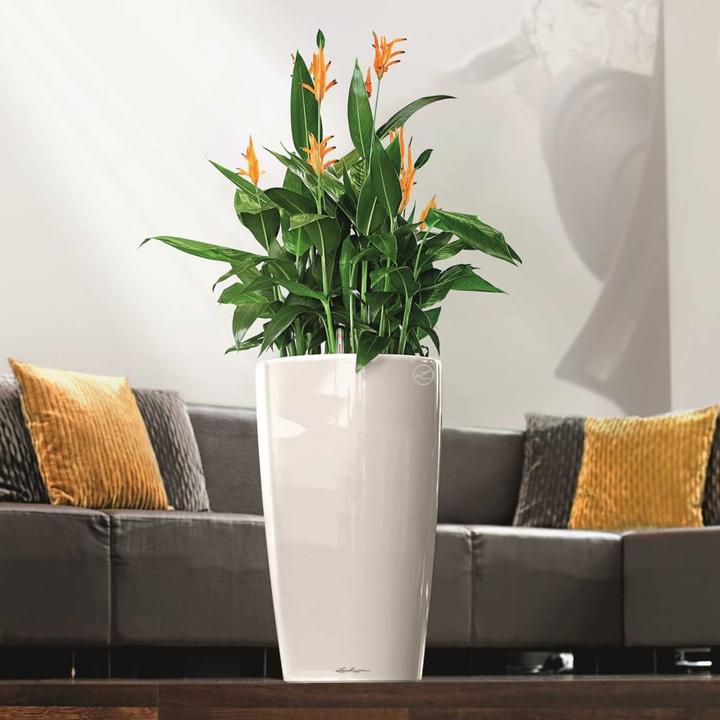 Produktbild Lechuza Rondo (40 cm)