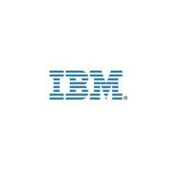 IBM Simple-Swap Raid Kit 0/1 S, Server Zubehör